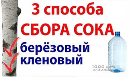 ��� ������� ��������� ��Ш������ ����