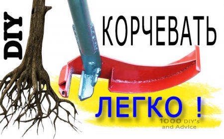 ����������� �������� � ������  ��������� ��� ����