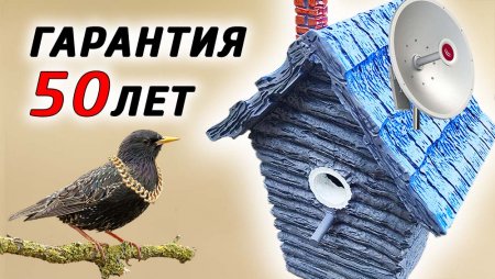 Иновационный скворечник прослужит 100 лет