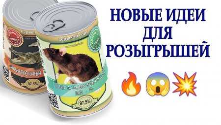 Безумные идеи для розыгрышей