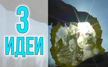 ПОРТРЕТНЫЙ ГЕРБАРИЙ | СДЕЛАЛ ЛАМИНАЦИЮ И ЭПОСКИДНУЮ КОНСЕРВАЦИЮ - ЧТО ЛУЧШЕ?